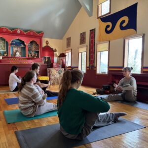 Daily Yoga
