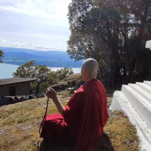 Downtime for Lama
