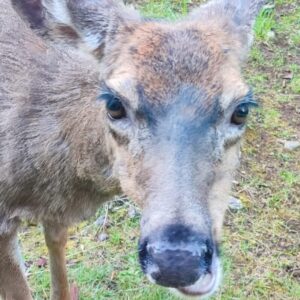 Friendly Locals