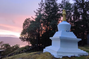 Buddhist Stupa crop
