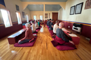 Buddhist meditation crop