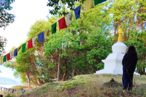 Stupa view